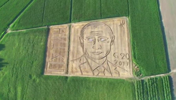 Портрет Путина на поле